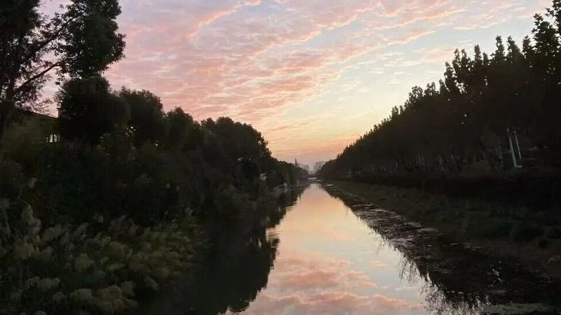 食品经营许可证代办代理服务：合规经营的关键一步